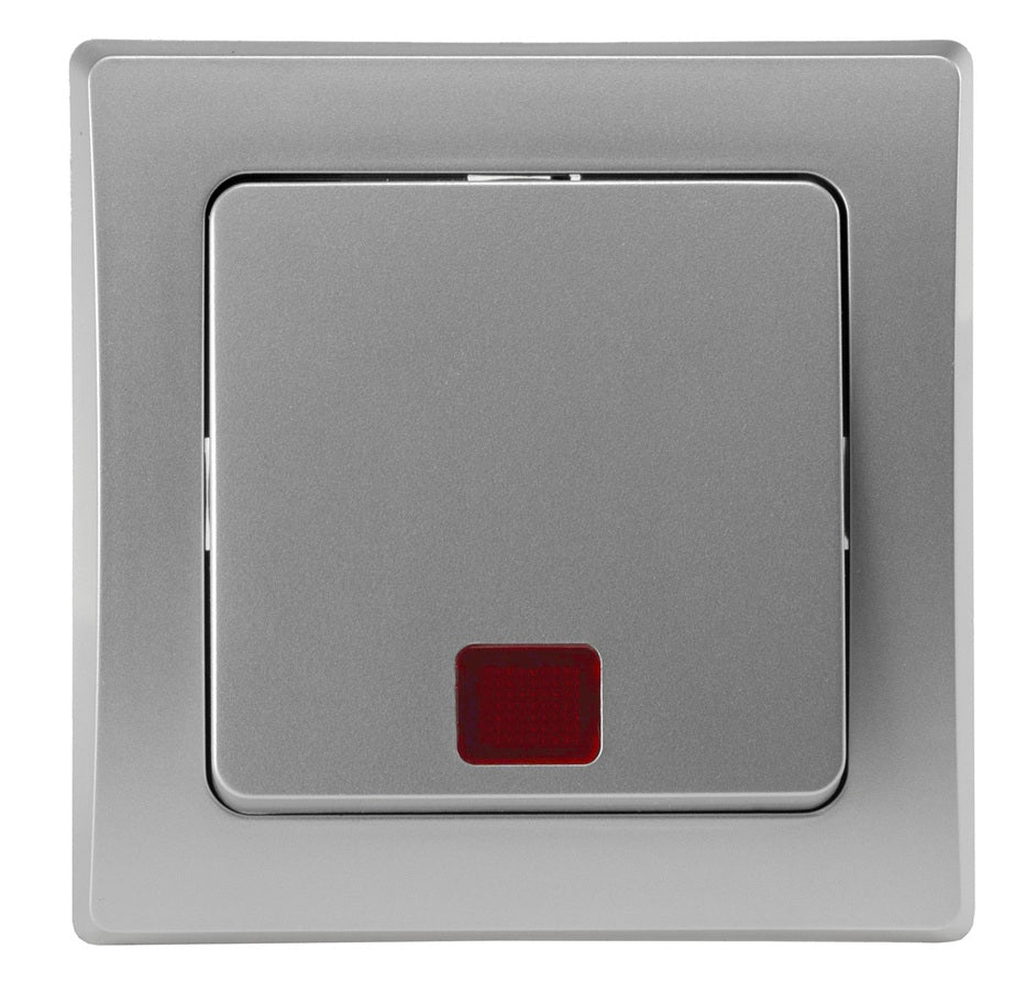 DELPHI Kontroll-Schalter mit Lämpchen 250VAC / 10A UP silber