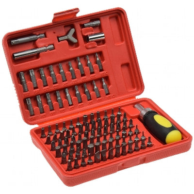 Bitsatz 100 Bits und Ratschen-Schraubendreher Multi Box 101